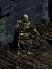 Skeleton