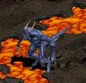 Storm Rider